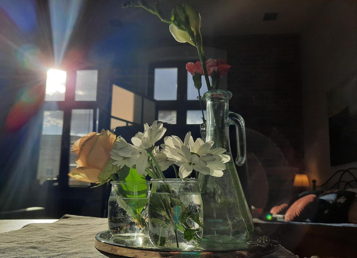 Apartamenty Bydgostia Bydgoszcz Eksteriør bilde